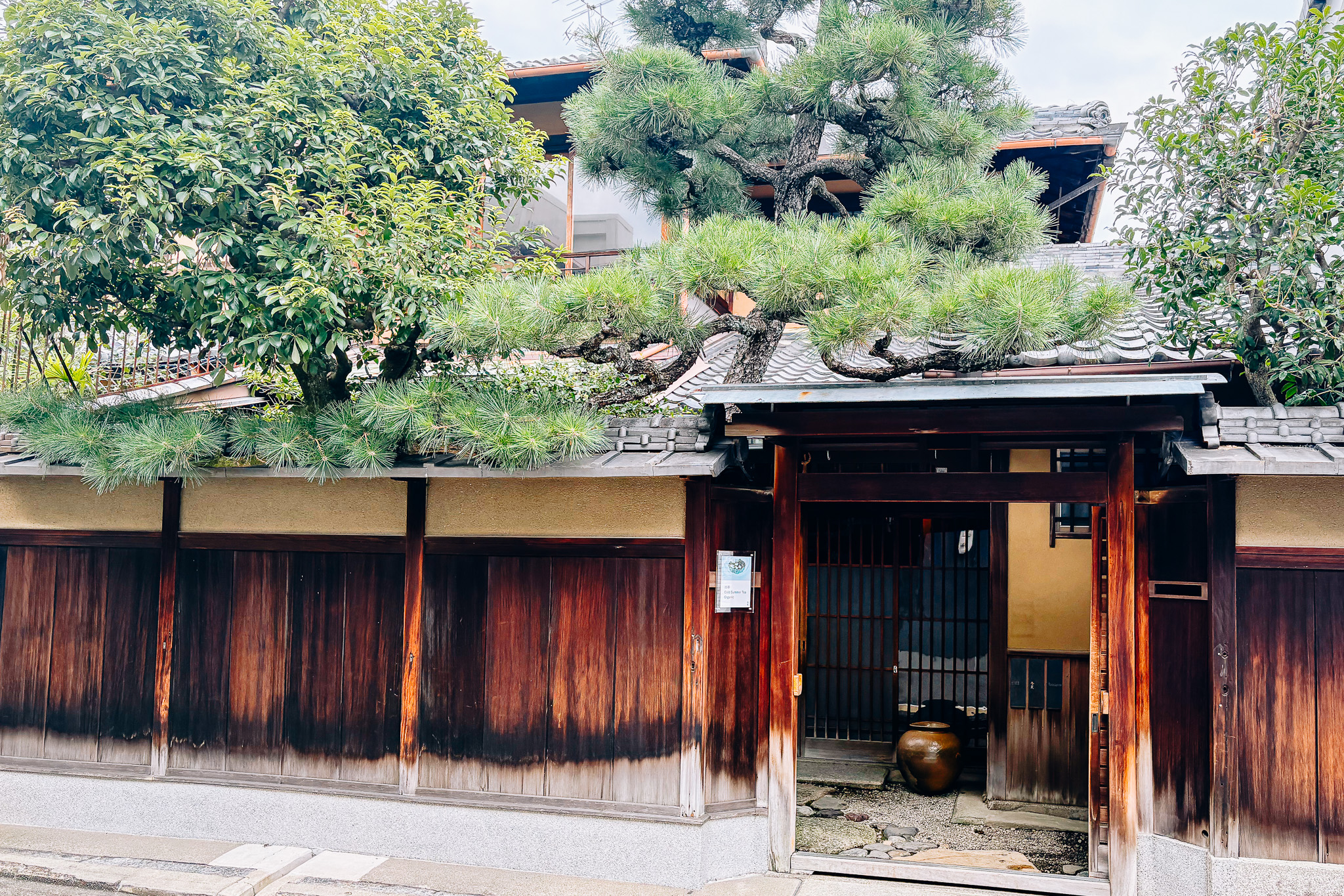 體驗日本茶深邃魅力的茶室“冬夏”的片刻時光