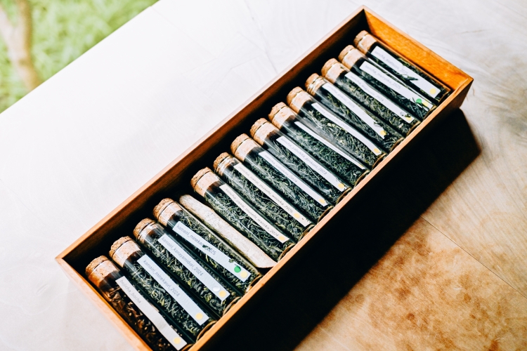 從“朝津”和“藪北”等十幾種茶葉中選擇