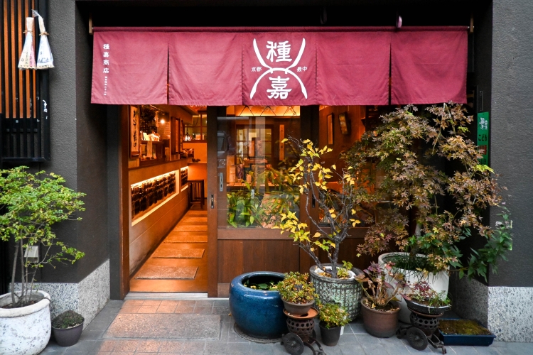 靜靜地佇立在京都小巷裡的紅色門簾是其寶獅的“種嘉商店”